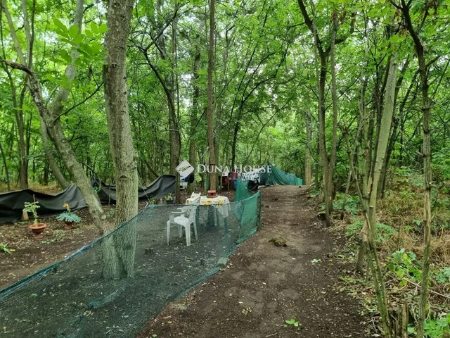 Eladó telek Tóalmás 709 nm