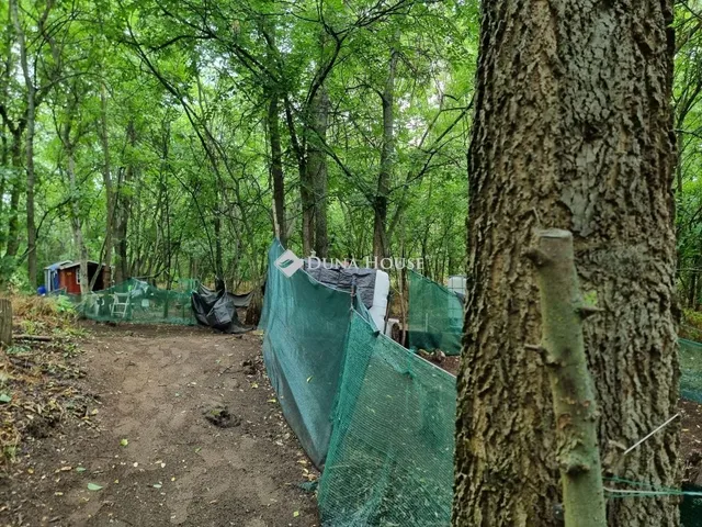 Eladó telek Tóalmás 709 nm