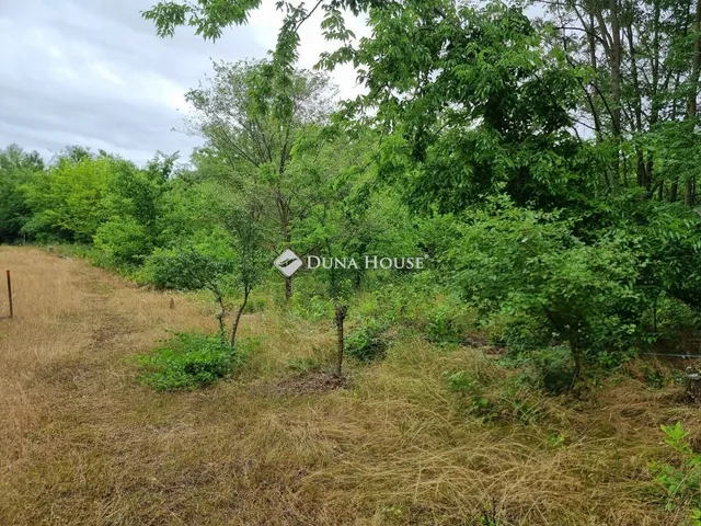 Eladó telek Tóalmás 709 nm