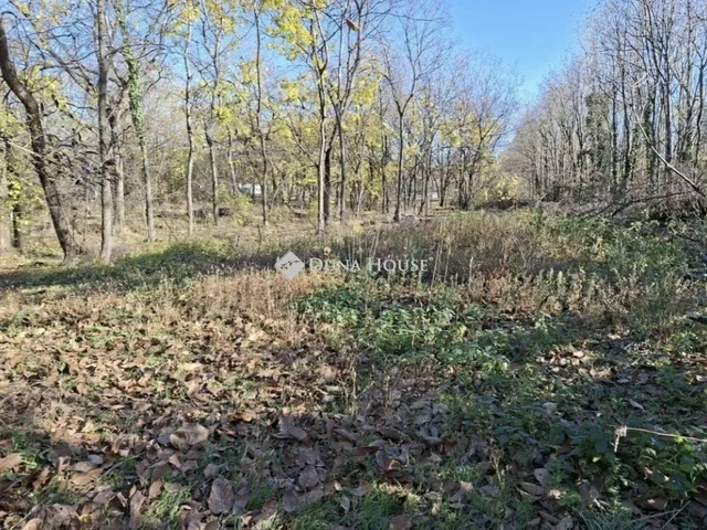 Eladó telek Budapest XVII. kerület 5556 nm