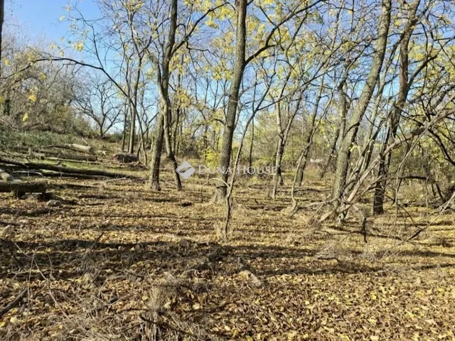 Eladó telek Budapest XVII. kerület 5556 nm