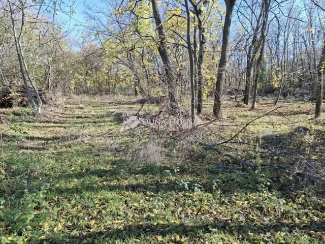 Eladó telek Budapest XVII. kerület 5556 nm