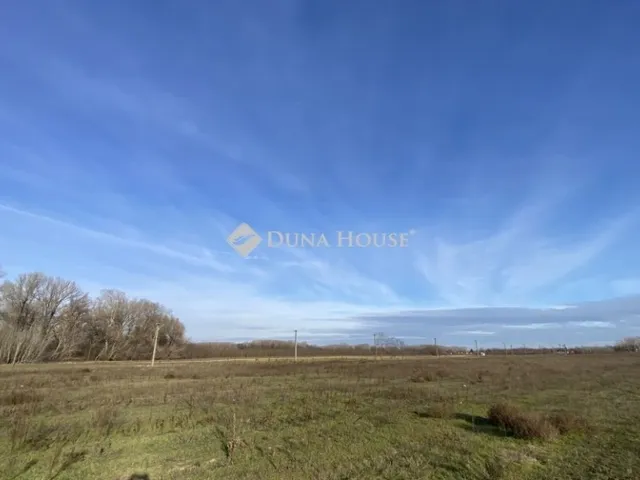 Eladó telek Tápiószentmárton 73815 nm