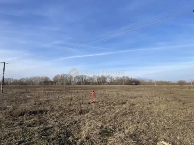 Eladó telek Tápiószentmárton 73815 nm