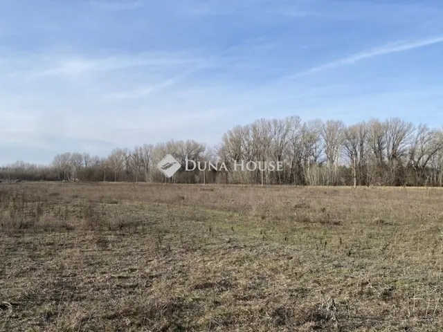 Eladó telek Tápiószentmárton 73815 nm