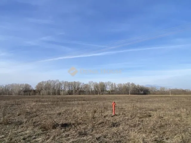 Eladó telek Tápiószentmárton 73815 nm