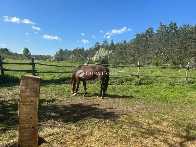 Eladó mezőgazdasági ingatlan Kerepes 90 nm