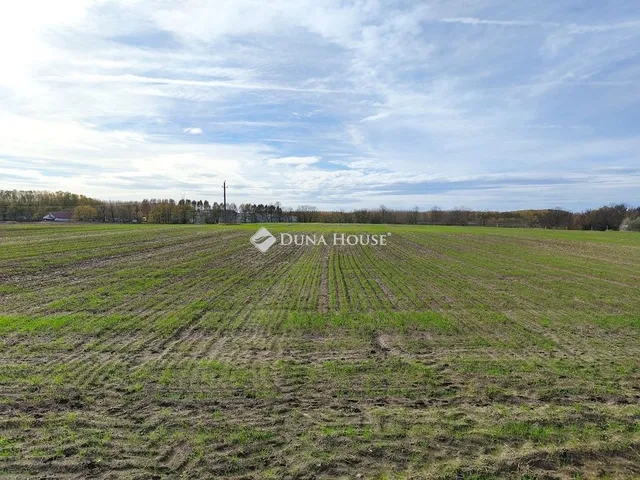 Eladó kereskedelmi és ipari ingatlan Farmos 9999 nm