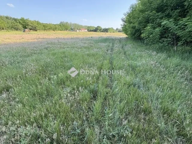 Eladó telek Kóka 811 nm