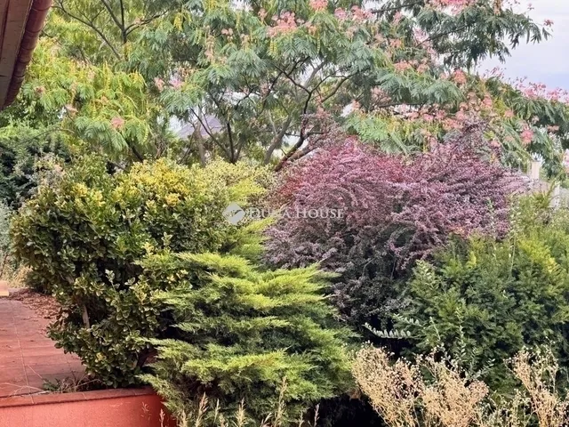 Eladó ház Nagytarcsa 193 nm