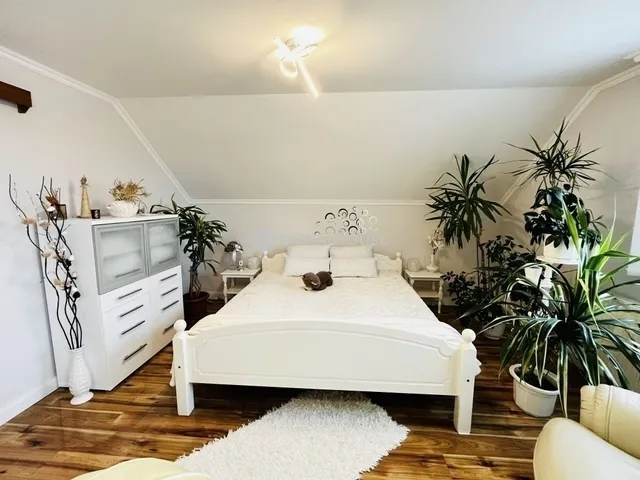 Eladó ház Monor 190 nm