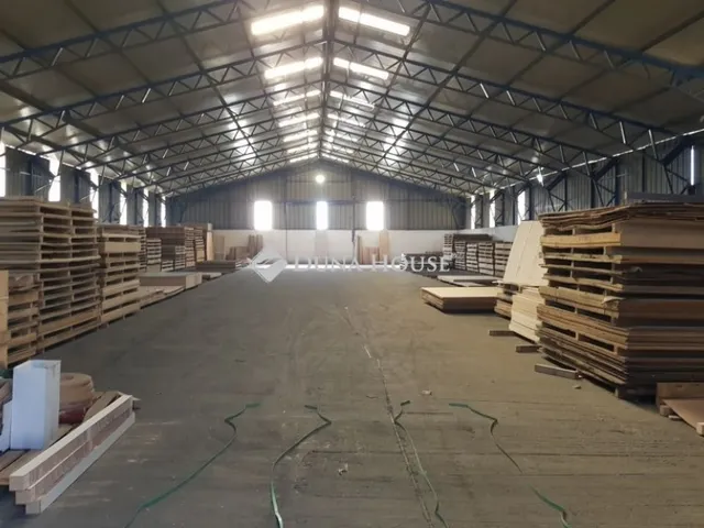 Kiadó kereskedelmi és ipari ingatlan Ócsa 1000 nm