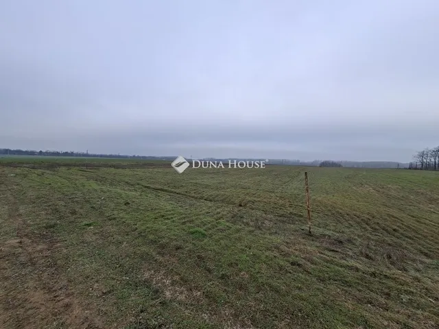 Eladó ház Sülysáp 120 nm