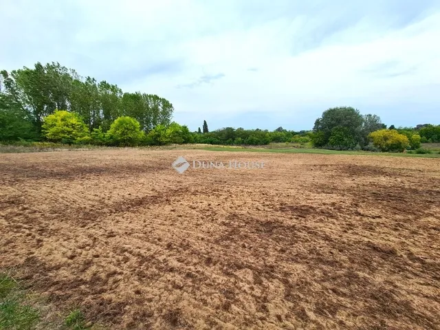 Eladó telek Tápiószecső 6039 nm