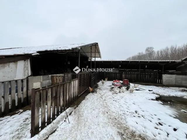 Eladó mezőgazdasági ingatlan Pilis 240 nm