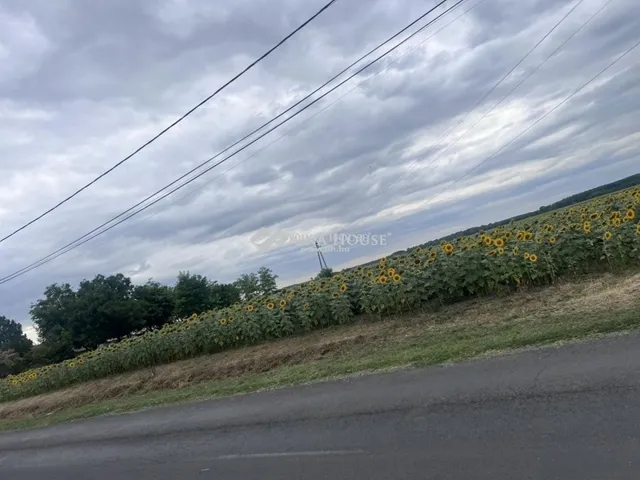 Eladó telek Tápiógyörgye 4585 nm