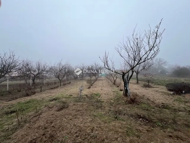 Eladó ház Pilis 140 nm