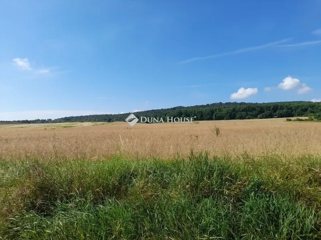 Eladó telek Isaszeg 20000 nm