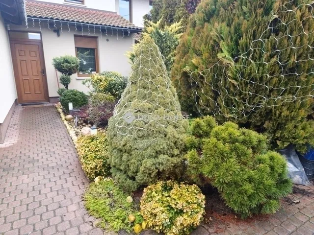 Eladó ház Gödöllő 131 nm