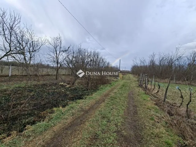 Eladó mezőgazdasági ingatlan Tápiószecső 100 nm