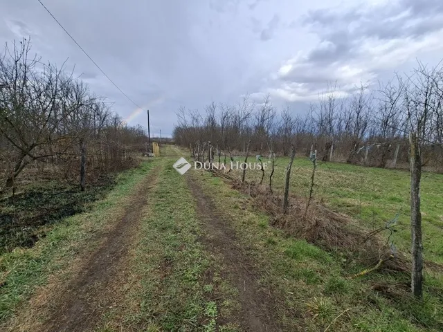 Eladó mezőgazdasági ingatlan Tápiószecső 100 nm