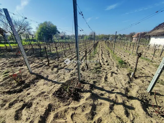 Eladó mezőgazdasági ingatlan Monor 49 nm