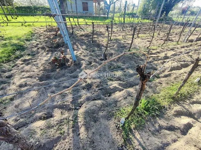Eladó mezőgazdasági ingatlan Monor 49 nm