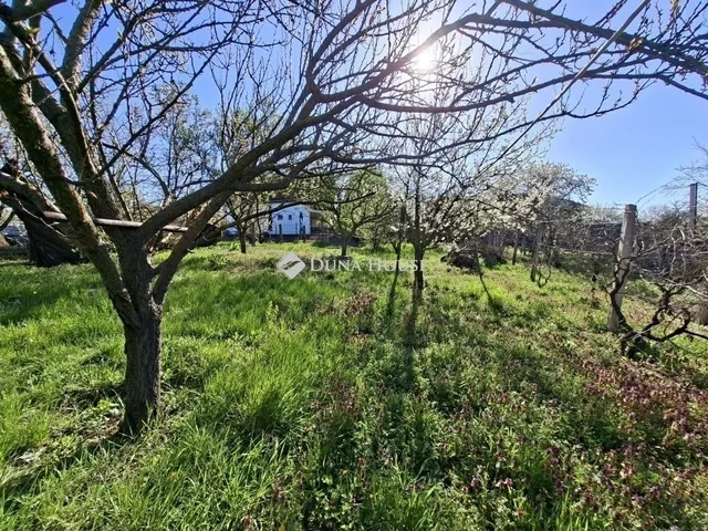 Eladó ház Sülysáp 100 nm