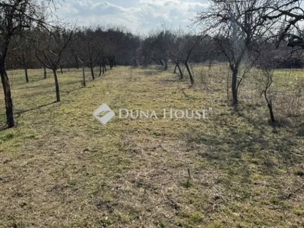 Eladó ház Kóka 80 nm