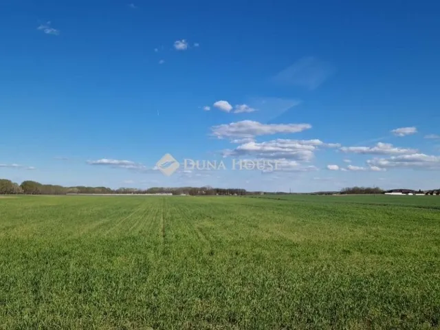 Eladó mezőgazdasági ingatlan Sülysáp 2322989 nm
