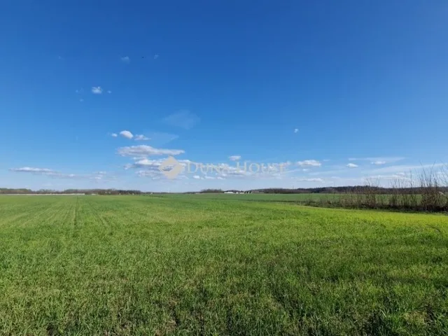 Eladó mezőgazdasági ingatlan Sülysáp 2322989 nm