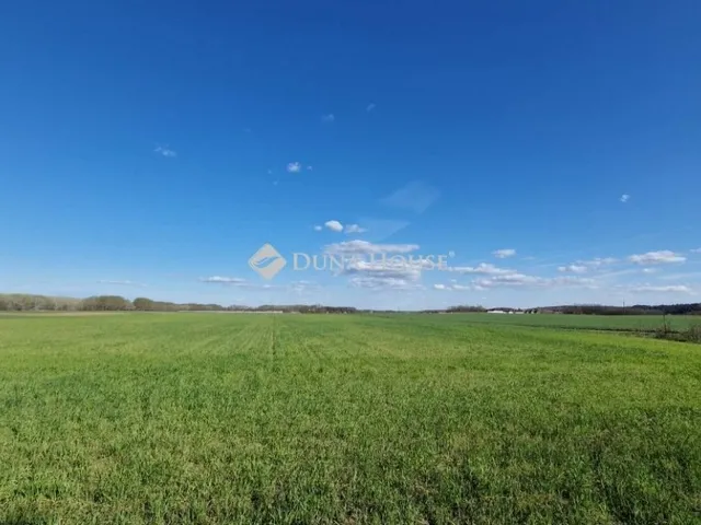 Eladó mezőgazdasági ingatlan Sülysáp 2322989 nm