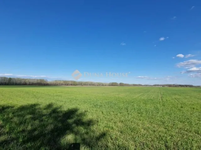 Eladó mezőgazdasági ingatlan Sülysáp 2322989 nm