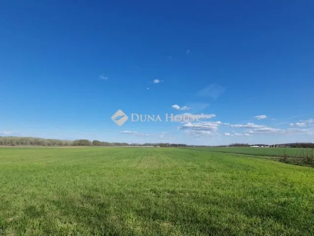 Eladó mezőgazdasági ingatlan Sülysáp 2322989 nm