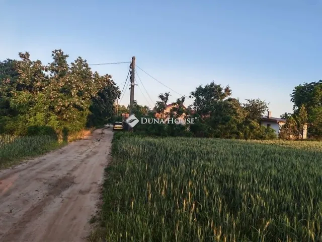 Eladó mezőgazdasági ingatlan Sülysáp 4838 nm