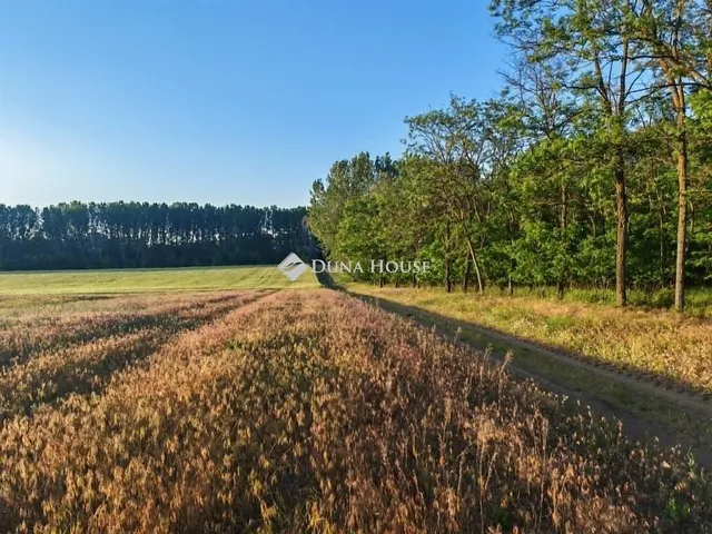 Eladó mezőgazdasági ingatlan Sülysáp 39478 nm