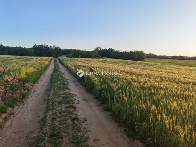 Eladó mezőgazdasági ingatlan Sülysáp 4838 nm