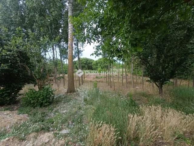Eladó ház Tápióbicske 92 nm