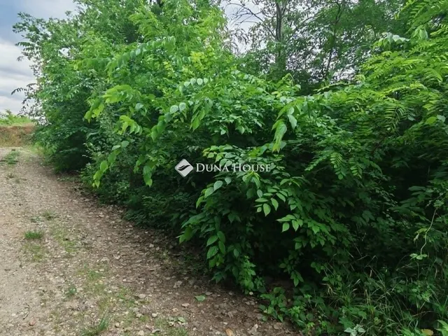 Eladó telek Monorierdő 701 nm