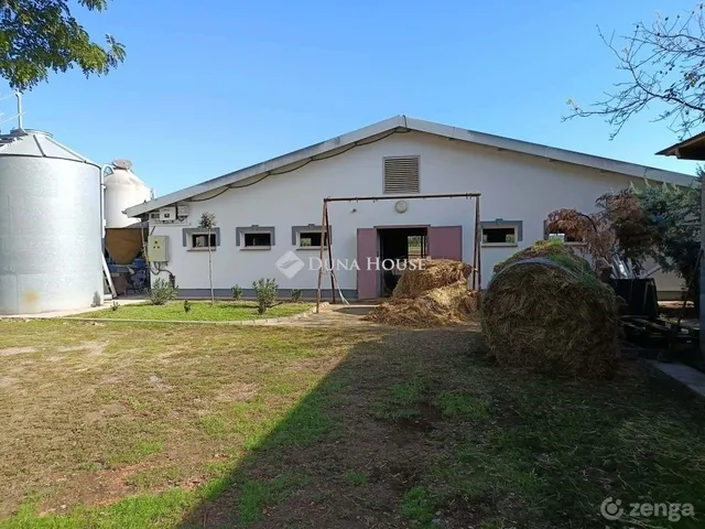 Eladó mezőgazdasági ingatlan Orosháza 170 nm