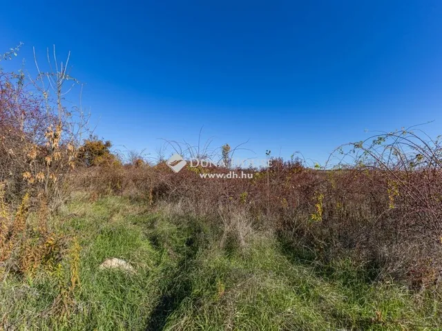 Eladó telek Eger 11852 nm