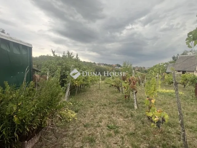 Eladó telek Egerszalók 3114 nm