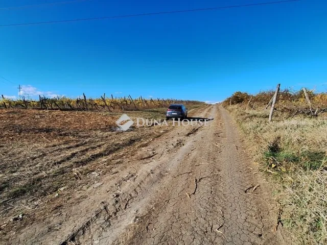 Eladó telek Novaj 1917 nm