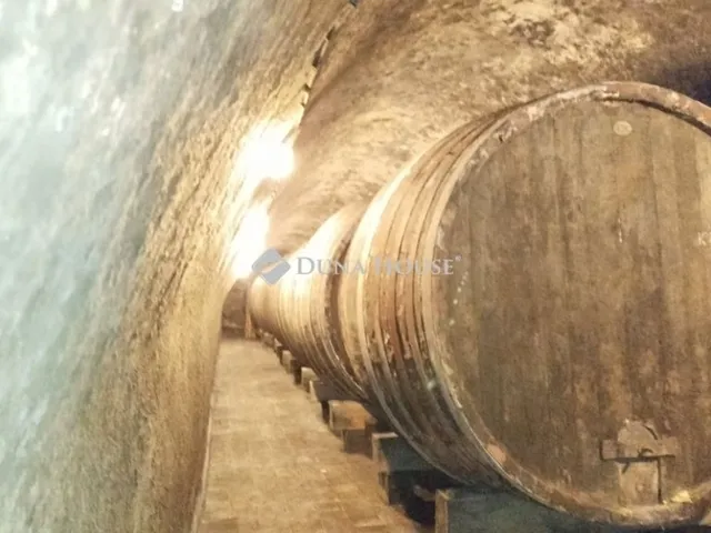 Eladó mezőgazdasági ingatlan Felsőtárkány 1556 nm