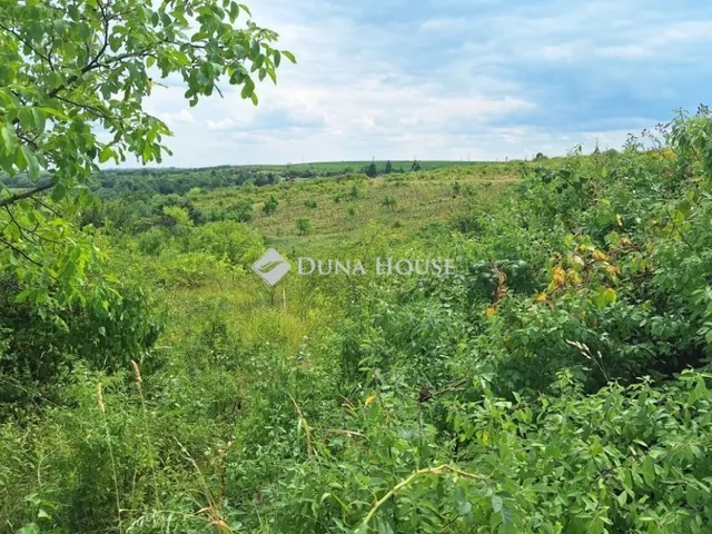 Eladó telek Eger 1075 nm