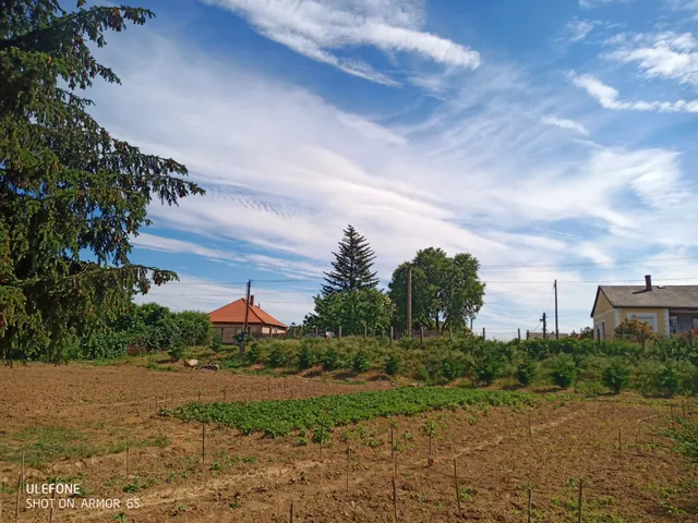 Eladó telek Tokaj 2098 nm