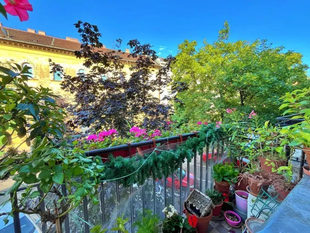 Eladó lakás Budapest X. kerület, Ligettelek 93 nm