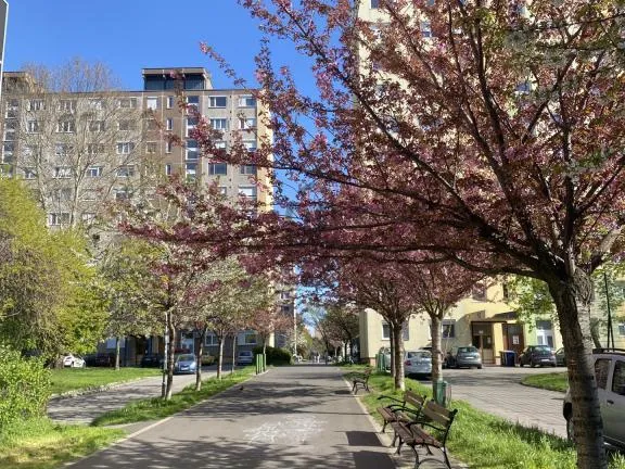 Eladó lakás Budapest X. kerület, Óhegy 53 nm