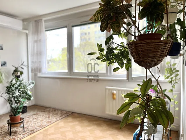 Eladó lakás Budapest XIV. kerület, Alsórákos 46 nm