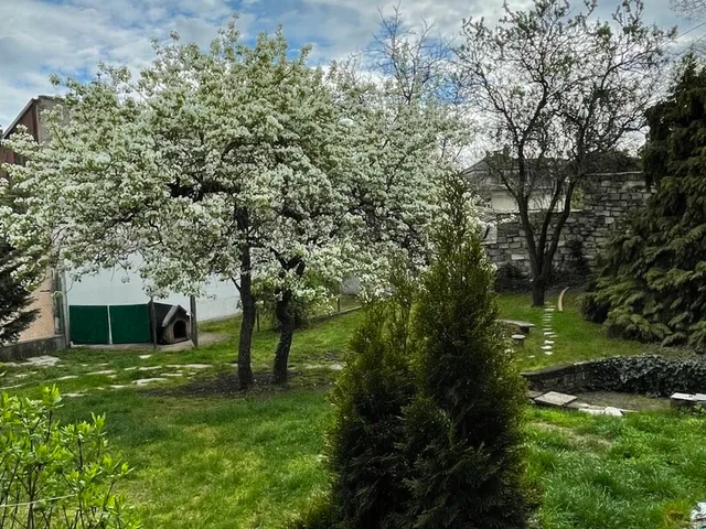Eladó ház Budapest XXII. kerület, Budafok 327 nm